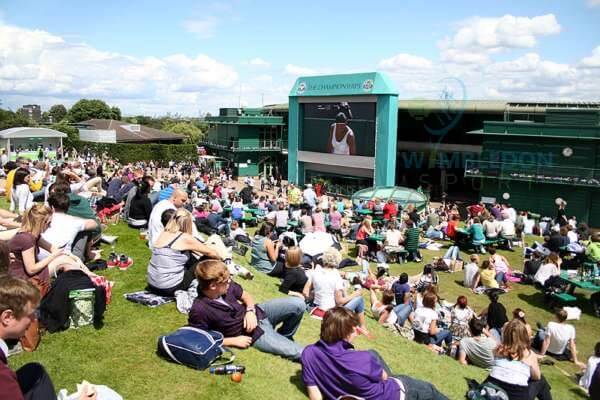 General Information about Wimbledon Entry Passes-image-buy get cheap Wimbledon tickets